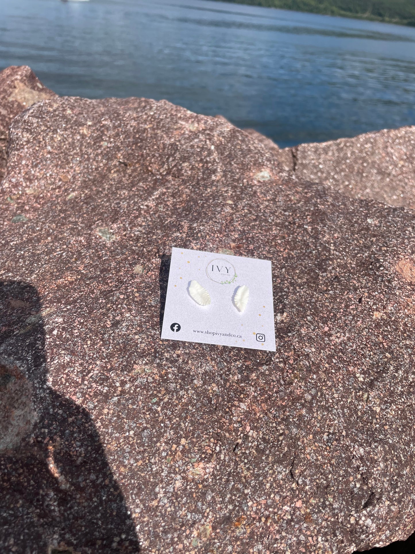 Cod Fish Balance Bone Stud Earrings